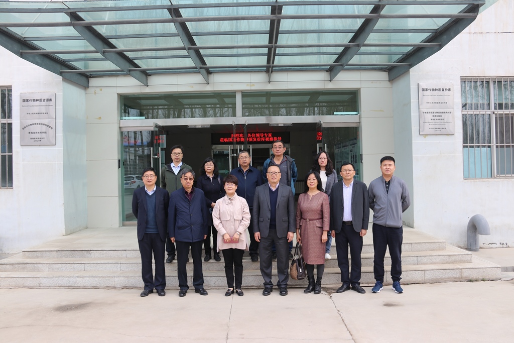 3847774d168c44d681078aa4dd9a25d4.jpg 3847774d168c44d681078aa4dd9a25d4.jpg