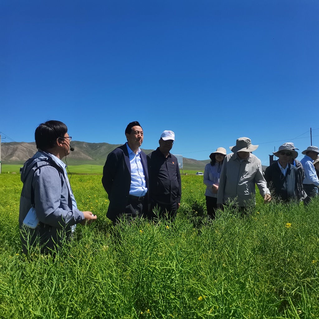 295084d8474b49afbbb02f55c6fbca9a.jpg 295084d8474b49afbbb02f55c6fbca9a.jpg