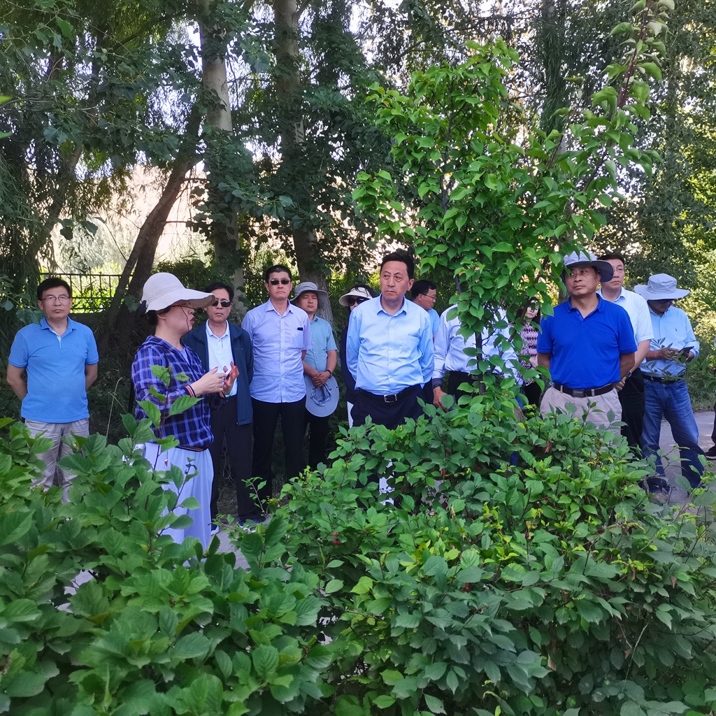 adf4fb576dfd45e2b987cd786c605735.jpg adf4fb576dfd45e2b987cd786c605735.jpg